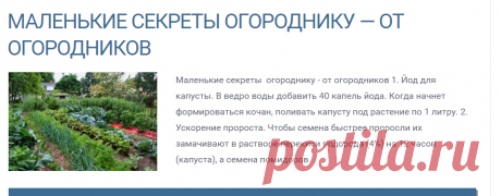 Маленькие секреты огороднику — от огородников — 6 соток