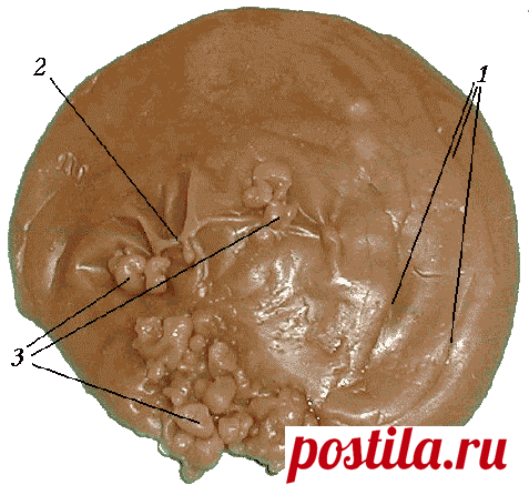 Отливки на воск: Испуг, Сглаз, Преднамеренная порча, Переживания, Заклятие