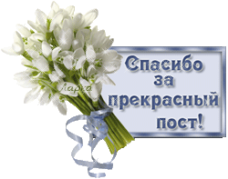Бальзам для печени