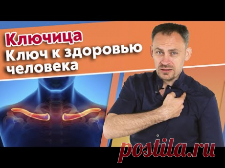 Почему важна ключица? / Самые хрупкие места организма