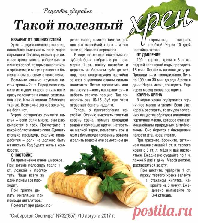 Такой полезный хрен