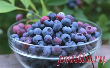 вкус