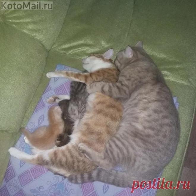 Семейный отдых