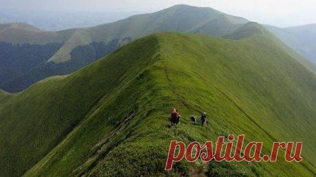 Одноклассники