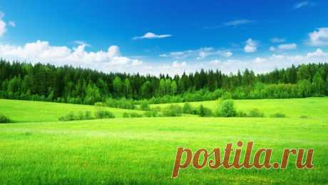 зелень лето поле лес greens summer field forest Скачать картинку 4200x2363 зелень лето поле лес greens summer field forest