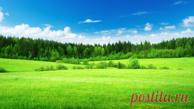 зелень лето поле лес greens summer field forest Скачать картинку 4200x2363 зелень лето поле лес greens summer field forest