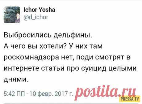 Смешные комментарии (41 скриншот) | Чёрт побери Подборка юмора из социальных сетей: вашему вниманию смешные комментарии и смс переписки, которые обязательно поднимут вам настроение.