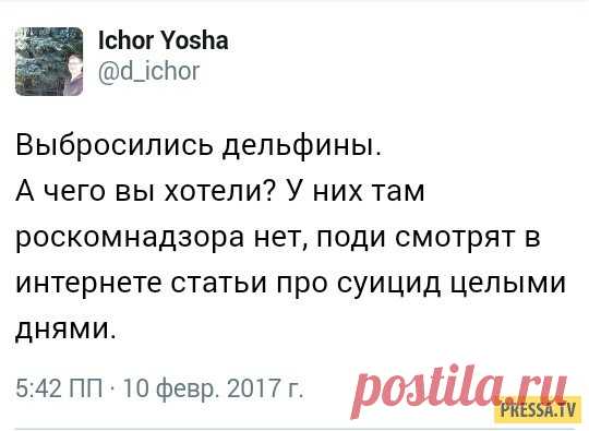 Смешные комментарии (41 скриншот) | Чёрт побери Подборка юмора из социальных сетей: вашему вниманию смешные комментарии и смс переписки, которые обязательно поднимут вам настроение.