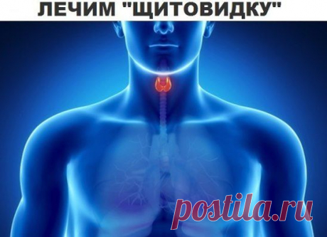 (26) Одноклассники