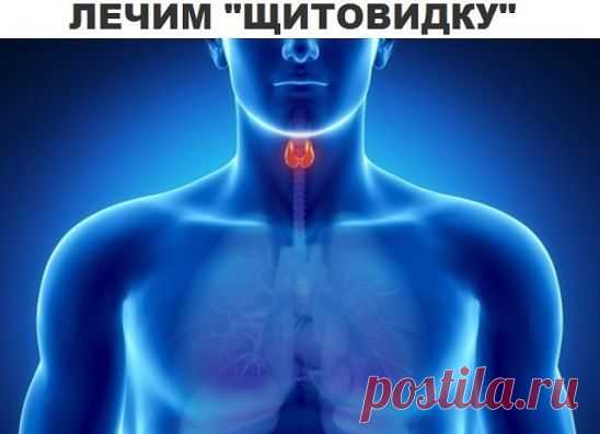 (26) Одноклассники