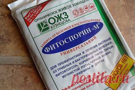 (6) Одноклассники