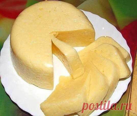 Рецепты сыра:
Домашний сыр за 3 часа
Невероятно вкусный сыр, который содержит только натуральные продукты и ничего лишнего.Сыры которые мы покупаем в магазине, не понятно из чего сделаны.
А ведь в сыр продукт полезный с большим содержанием кальция. Да и какой ребёнок не любит вермишель с сыром?!В этом сыре все продукты натуральные, ничего лишнего, поэтому вы точно уверены, что вашему чаду этот сыр будет полезен.
Ингредиенты:
-1 литр молока
-1 ст.л.соли
-200-300 г. сметаны
...