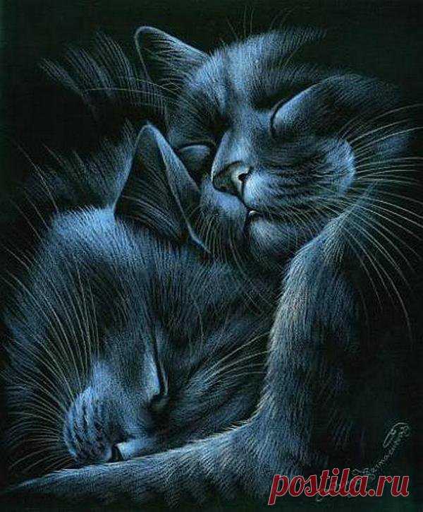 Кошачье нежность