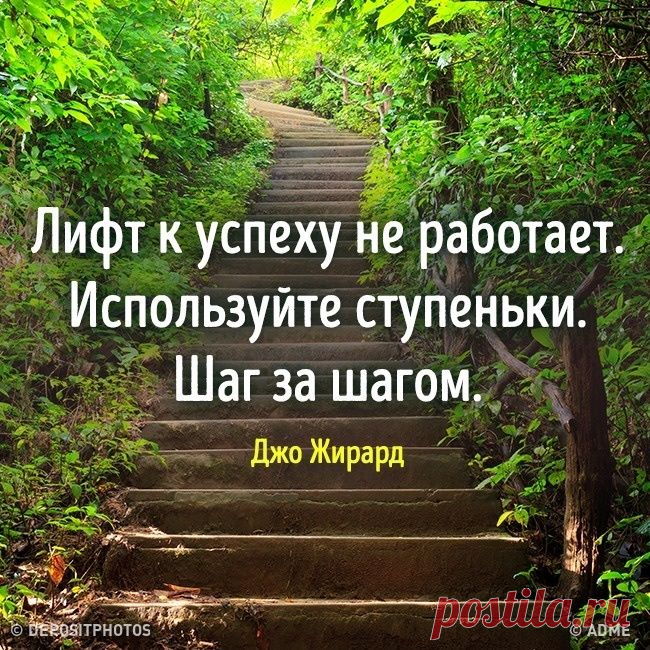 Мы выбираем счастье