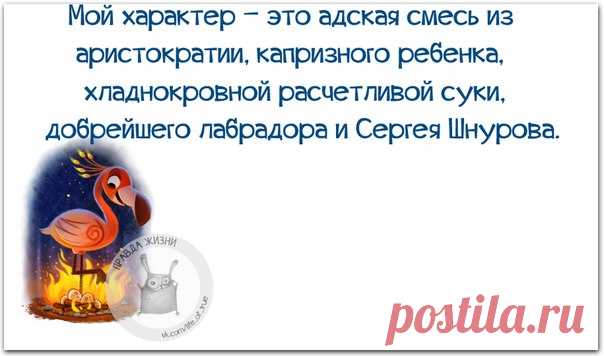 ПРИКОЛЬНЫЕ ФРАЗОЧКИ В КАРТИНКАХ