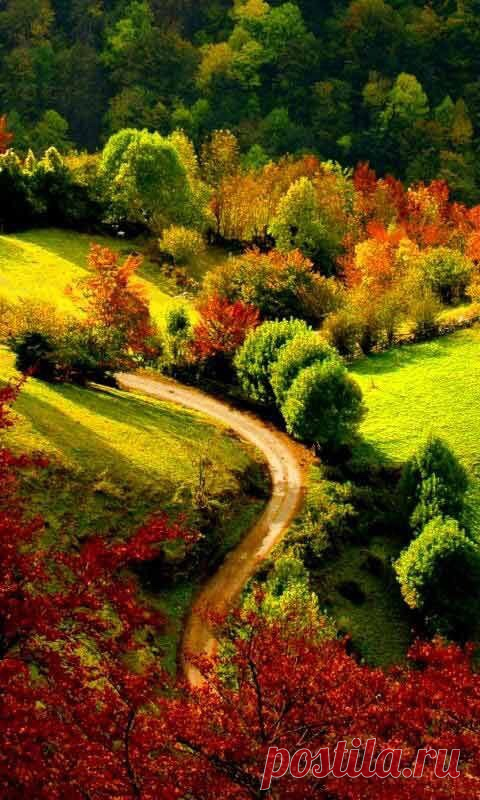 sıtkı All Nature