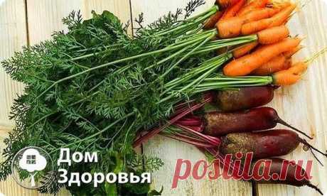 Полезная и вкусная ботва