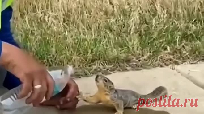 Твори Добро