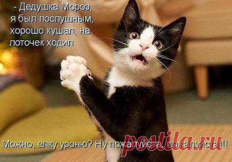 хх