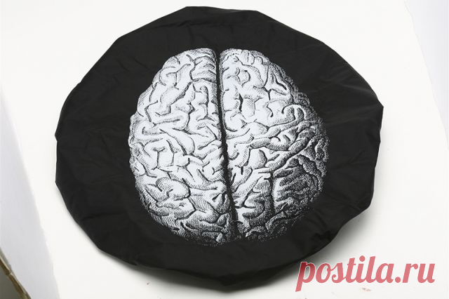 В цифрах и фактах: мозг на 80% состоит из воды Головной мозг – это орган центральной нервной системы, состоящий из множества взаимосвязанных между собой нервных клеток и их отростков.
