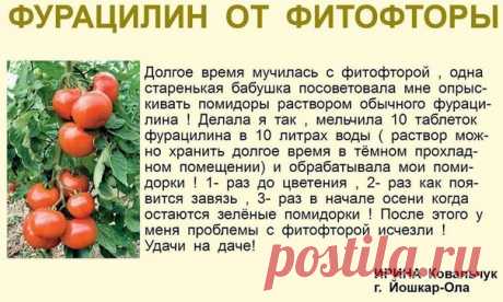 Дачный советник