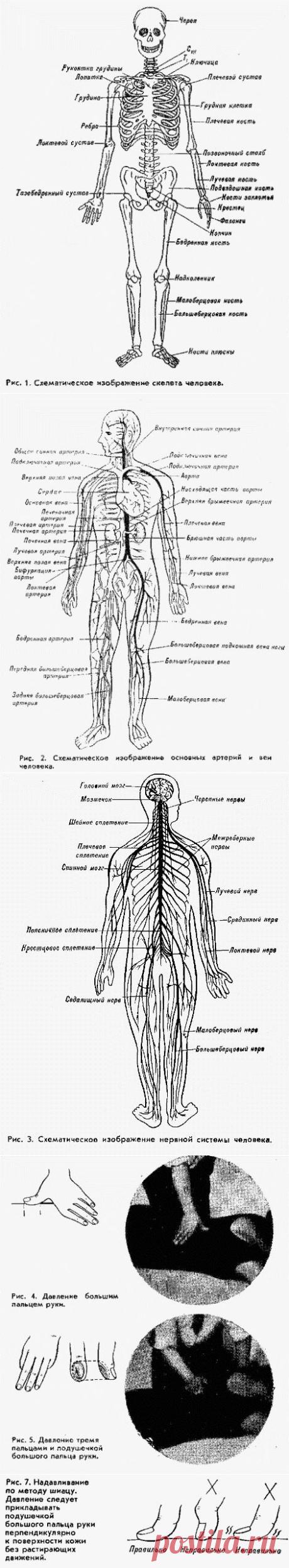 ШИАЦУ-ЯПОНСКИЯ ТЕРАПИЯ НАДАВЛИВАНИЕМ ПАЛЬЦАМИ-1 ч._ТОКУИРО НАмикоши - Улучшить самочувствие,снять усталость, преодолеть нарушение сна,нормализовать функцию внутренних органов,развить выносливость,поднять настроение этого можно достичь применяя метод шиацу. Описаны приемы, помогающие преодолеть усталость, нарушение сна, улучшить общее состояние человека и т. п.