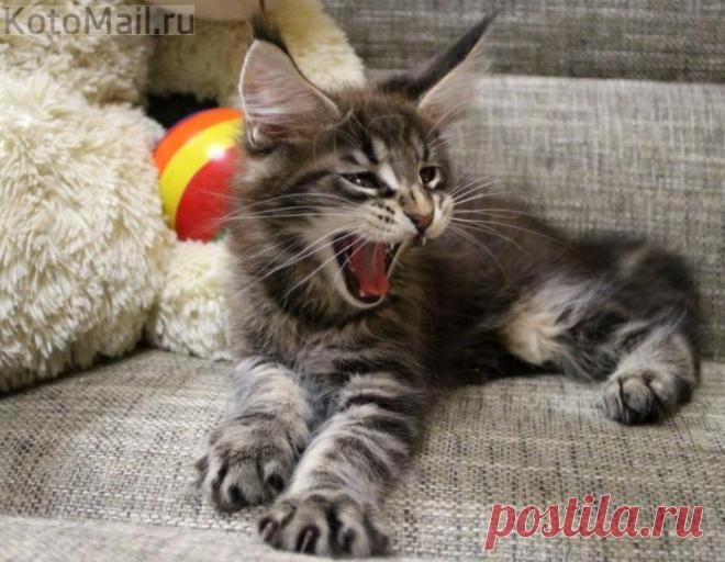 А где моя мама?!