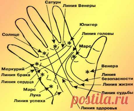 Как гадать - гадание по руке: линия? Что означают линии на руке в Хиромантии. Линия судьбы на руке — расшифровка с фото 100% Гадания и предсказания Линии на руке и их значение в Хиромантии. Узнайте, что означает линия судьбы на руке в хиромантии. Бесплатная расшифровка при гадании по ладони с фото. Как