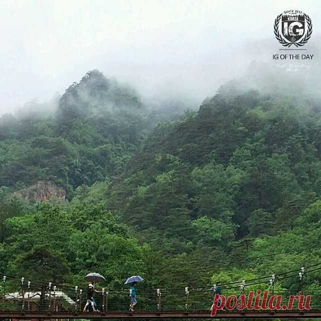 ! I G ⊕ KOREA® в Instagram: «present I G O F T H E D A Y P H O T O | @jtrend L O C A T I O N | Mt. Seorak, South Korea F R O M | @ig.korea A D M I N | @es_kwon S E L E C T E D | @es_kwon F E A T U R E D T A G | #ig_korea #igd_081015 Add hashtag #ig_korea to your best shots of Korea for a chance to be featured. 한국에서 찍은 사진에 #ig_korea 해쉬태그를 붙여주세요. 매일 멋진 사진을 선정하여 게시합니다. M A I L | igworldclub@gmail.com S O C I A L | Facebook • Twitter M E M B E R S | @igworldclub_officialaccount C O U N T R Y R E Q