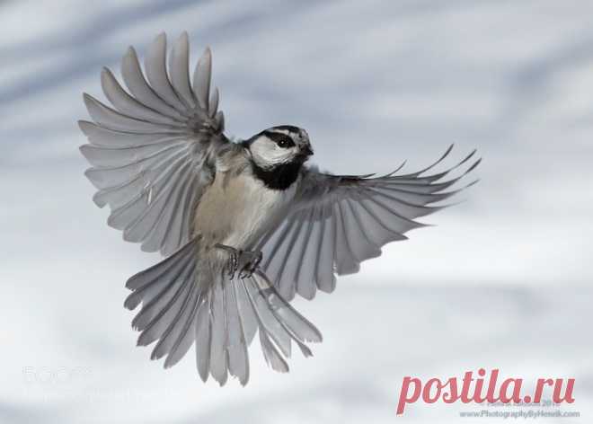 500px - Surfingbird