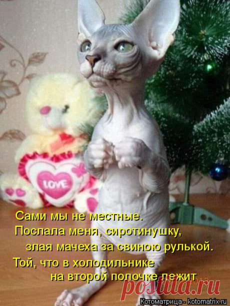 Позитив на пятницу