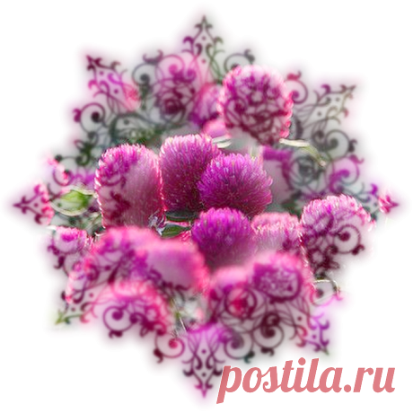 красивый клипарт *нарисованные цветочные зарисовки* png