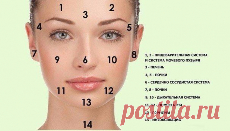 Карта прыщиков и как с ними бороться 💦 | Женский журнал