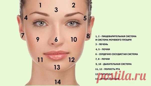 Карта прыщиков и как с ними бороться 💦 | Женский журнал