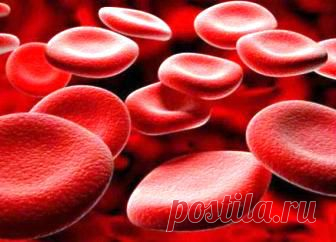 (+1) тема - Интересные факты о группе крови | НАУКА И ЖИЗНЬ