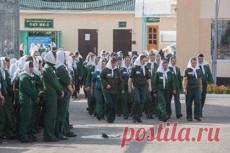 Во ФСИН опровергли информацию о просьбе осужденных женщин отправиться на СВО. В Управлении ФСИН по Свердловской области опровергли получение ими заявление от осужденных женщин из тагильской колонии с просьбой отправить их на специальную военную операцию. Информацию о желающих отправиться в зону боевых действий в качестве медсестер и связистов в УФСИН узнали из публикаций в СМИ.