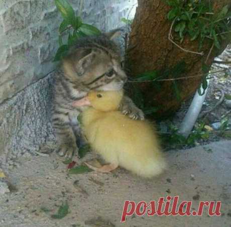 Потрясающие фотографии, которые мы не могли вам не показать (28 шт)