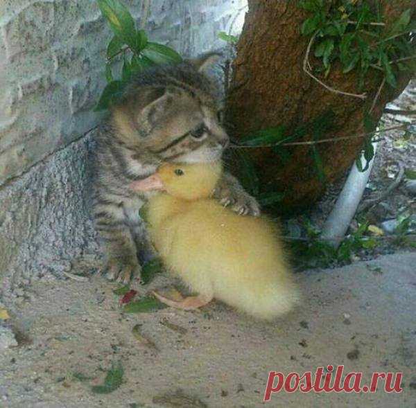 Потрясающие фотографии, которые мы не могли вам не показать (28 шт)
