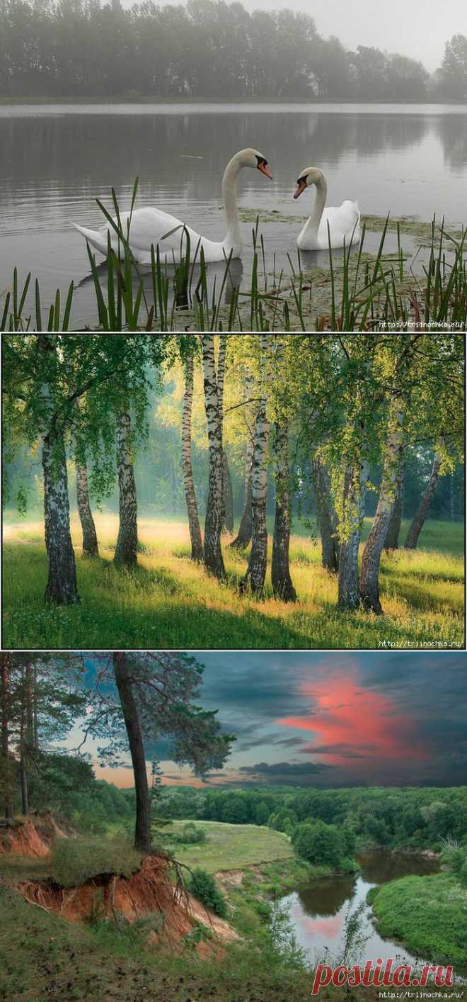 Для меня, как музыкой, снова мир наполнится!.
