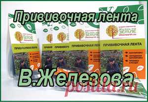 Официальный сайт Железова В.К. - главная страница