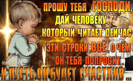Светлана Мамеко