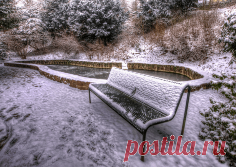 Календарь сезонных работ в саду: декабрь - Planetalsad