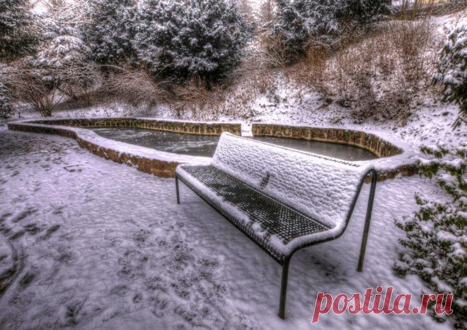 Календарь сезонных работ в саду: декабрь - Planetalsad