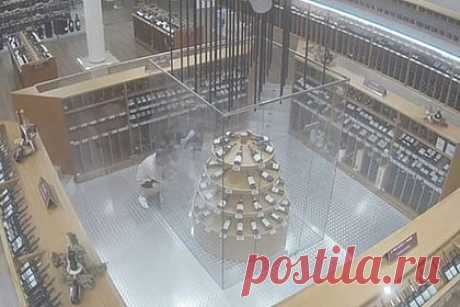 Воры украли девять бутылок дорогих вин стоимостью 11 миллионов рублей. Днем в испанском винном магазине на глазах у посетителей воры украли девять бутылок самых дорогих в мире вин общей стоимостью 117,1 тысячи евро (11,7 миллиона рублей). По словам владельцев магазина, это уже вторая попытка грабежа со стороны этих преступников. Полиция начала расследование.