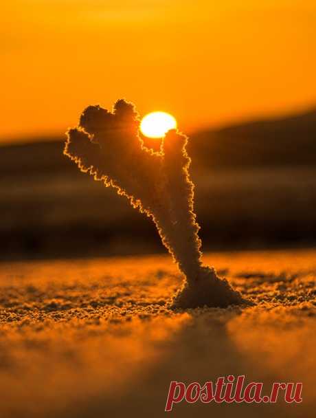 «Солнце на ладошке». Мурманская область. Автор фото — Виталий Новиков: nat-geo.ru/photo/user/40200/