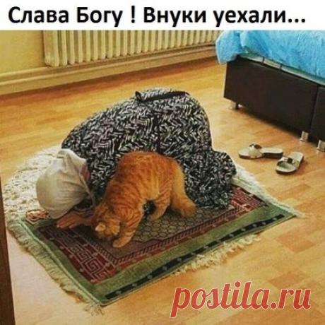 👫👫👫👫 Всем хорошего настроения! - ЖМИ ⇓⇓⇓ 👫👫👫👫👫