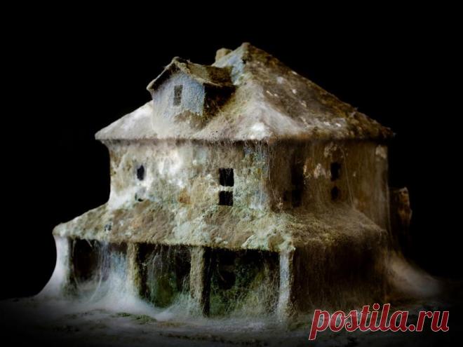 » Постапокалиптические города Дениэла Дель Неро Это интересно!