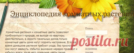 Энциклопедия комнатных растений: комнатные цветы, домашние растения, уход и выращивание цветов. Цветы и растения дома