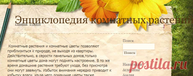 Энциклопедия комнатных растений: комнатные цветы, домашние растения, уход и выращивание цветов. Цветы и растения дома