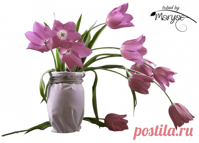 Цветы в горшках, вазах, корзинах